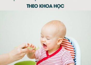 Lịch ăn dặm cho bé 6 tháng